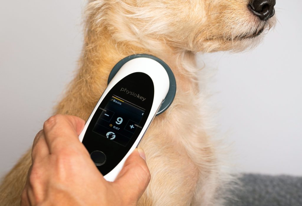 PHYSIOKEY VSESTRANSKA UPORABA