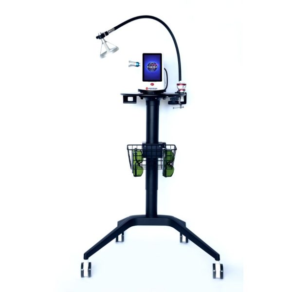 Thera Laser - celoten prikaz naprave